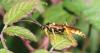 353386 – Photo : Daniel INGREMEAU – France (36)